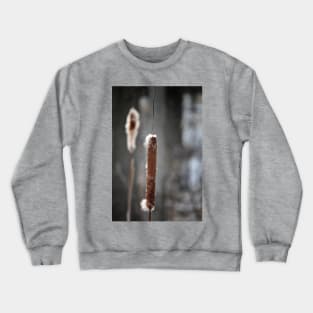 Cattails Crewneck Sweatshirt